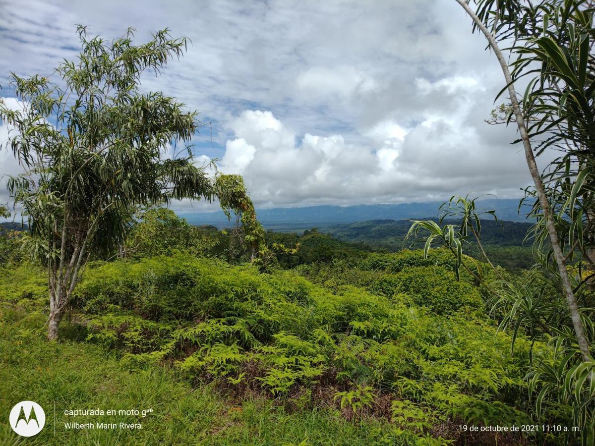 Hotel Mirador Osa Mogos 外观 照片