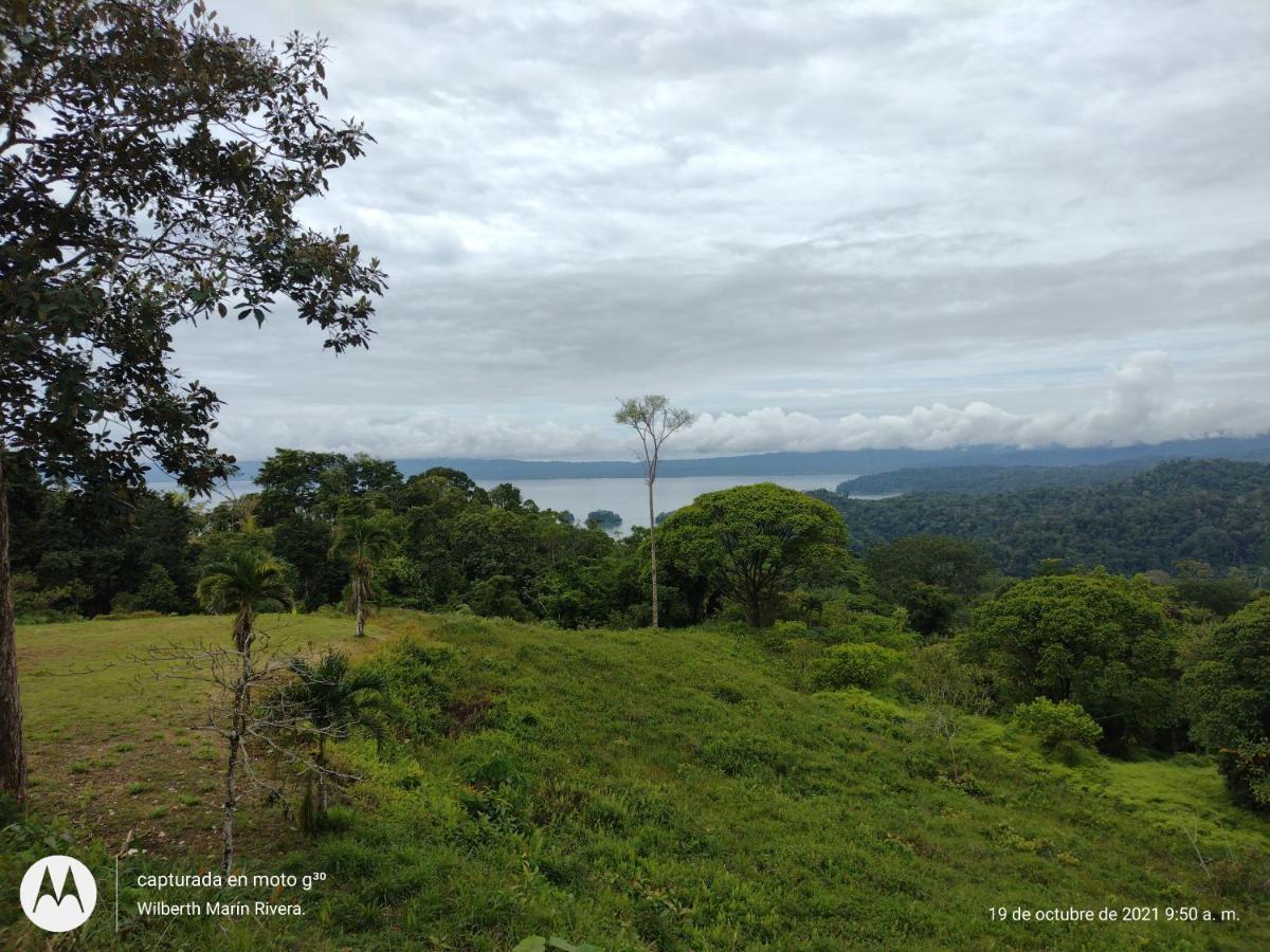 Hotel Mirador Osa Mogos 外观 照片